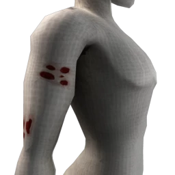 Cosmos Zombie Wounds - Sores