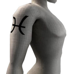 Zodiac Pisces Tattoo