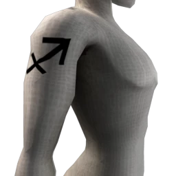 Zodiac Sagittarius Tattoo