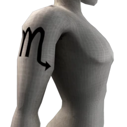 Zodiac Scorpio Tattoo