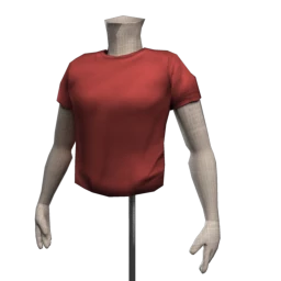 Back to Basics T shirt (for Male)