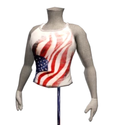 Stars and Stripes Vest