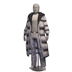 Bionic Arctic Circle Outfit