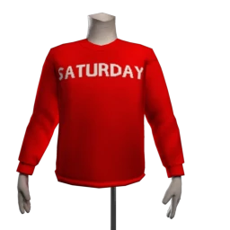 Foal Saturday Sweater