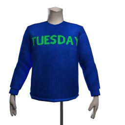 Foal Tuesday Sweater