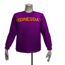 Foal Wednesday Sweater