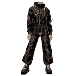 Cloud Nine Black And Silver Luxe Outfit