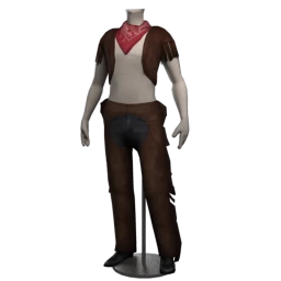 Cosmos Wild West Wanderer Costume