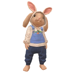 Cosmos DJ Hoppy Beats Costume - Country Style