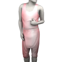 Cosmos Fairy Friend Outfit (Pink)