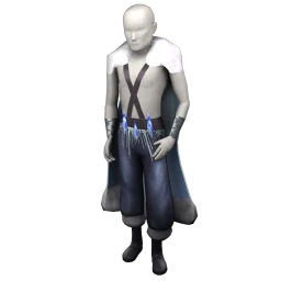 Cosmos Winter Warrior Costume