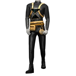 Chronos Costume (Gold)