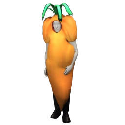 Cosmos Carrot Costume