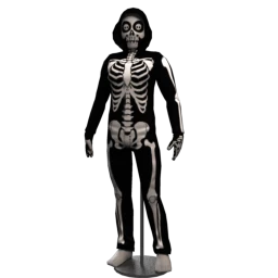 Cosmos Skeleton Costume