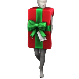 Cosmos Special Present Costume