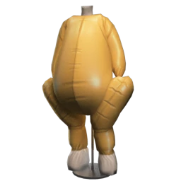 Cosmos Quirky Turkey Costume