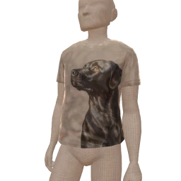 Delirious Dog Day T-Shirt