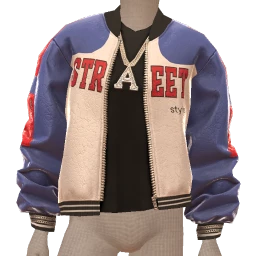 Drop Science STREET Style Bomber Jacket