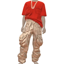 Drop Science Red And Silver Baggy Outfit
