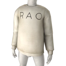 Exclusive Branded Sweatshirt - RAO