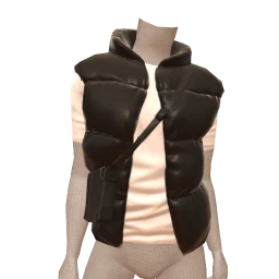 Front Row On My Way Up Gilet