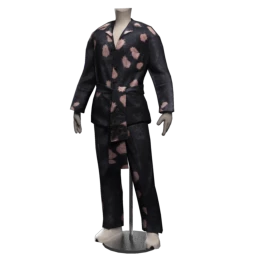 Romance Novel Stardust Outfit