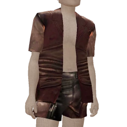 USAesthetics Bronze Leather Outfit 