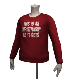 Foal 'Christmassy' Jumper