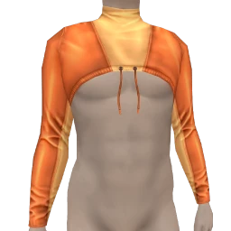 Nova Infinity Crop Top