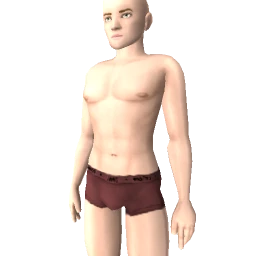 Default Torso