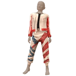 USAesthetics Retro Rebel Outfit