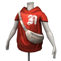 USAesthetics Varsity Hooded Sweater