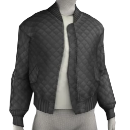 USAesthetic Crowd Jacket