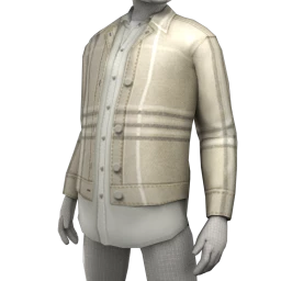 USAesthetic Everyman Jacket