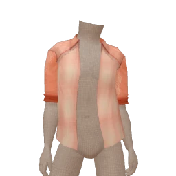 Cloud Nine Check Pink Shirt