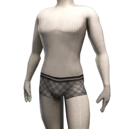 Checked Pattern Briefs