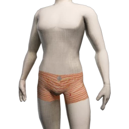 Calvin Vintage Print Swimming Shorts