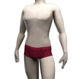 Leopard Print Briefs