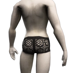 Vitellius Liam Lace Back Briefs