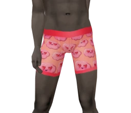 Palermo Heart Clouds Underwear