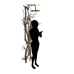 Salem Druidic Shower