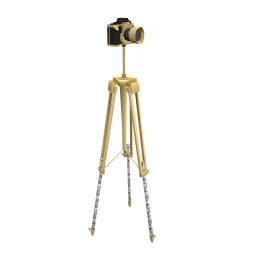 Luxe Let It Out Camera