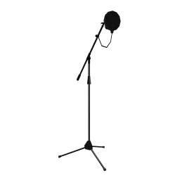 Professional Recording Microphone