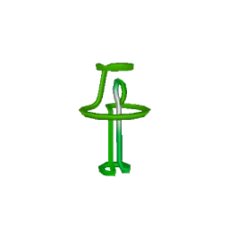Animated Green Neon Lamp