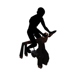 they. Core Strength Exercise Bike - Interactive