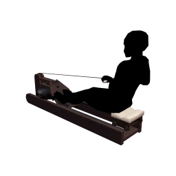 they. Core Strength Rowing Machine - Interactive