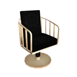 Luxe Feel Like A Supermodel Salon Chair (Black)