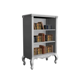 Chic White Bookshelves