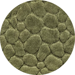 Riverbed Stones Carpet