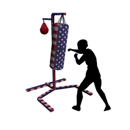 Drop Science American Sports Boxing - Interactive